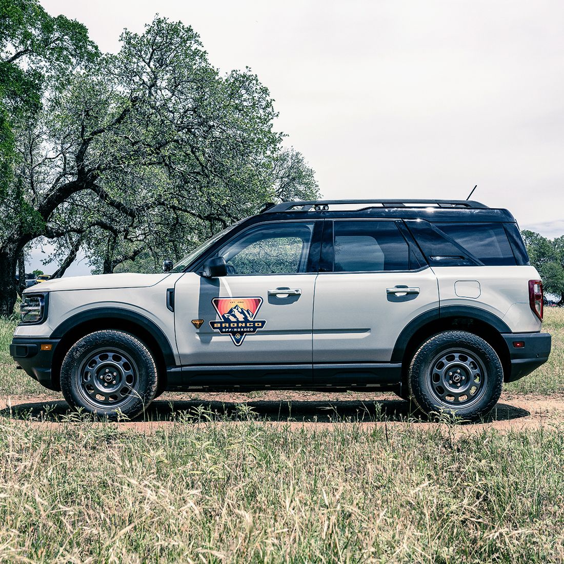 RIGID 2021 Ford Bronco Sport Overland Roof Rack LED Light Mount Kit,  Includes Four Ignite Pod Lights With Diffused Flood Optics - 46716